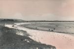 Strand ved Sejerø Bugt - 1950 (B6682)