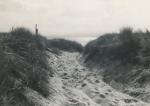 Klitter ved Gudmindrup Strand - 1955 (B6712)