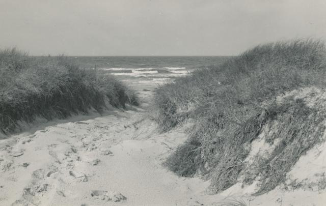 Klitter ved Gudmindrup Strand - 1955 (B6713)