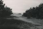 Strandsti ved Jyderup Lyng - 1950 (B6862)
