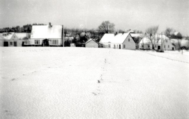 Vinter i Stårup - 1935 (B7091)