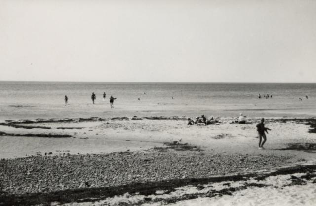 Badeliv ved Sejerøbugten - Vig Lyng - 1950 (B510)