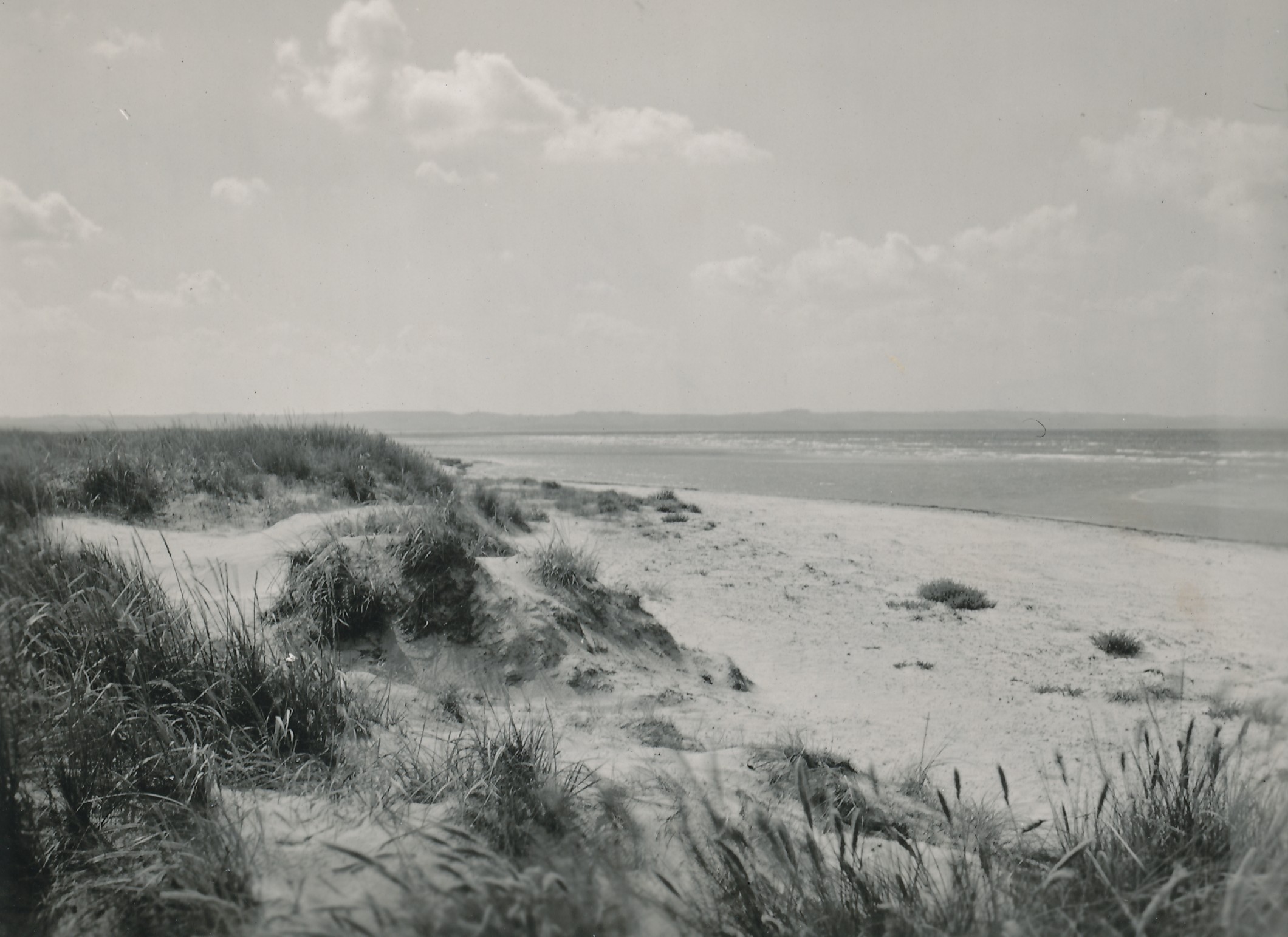 Stranden ved Sejerø Bugt - 1950'erne (B7238)