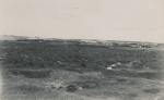 Sommerhuse på Tengslemark Lyng - 1950 (B7240)
