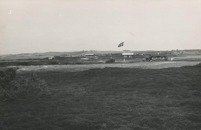 Sommerhuse på Tengslemark Lyng - 1950 (B7241)