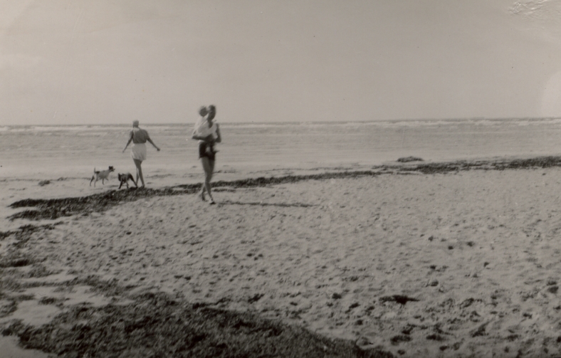 Badeliv ved Sejerøbugten - Vig Lyng - 1950 (B515)