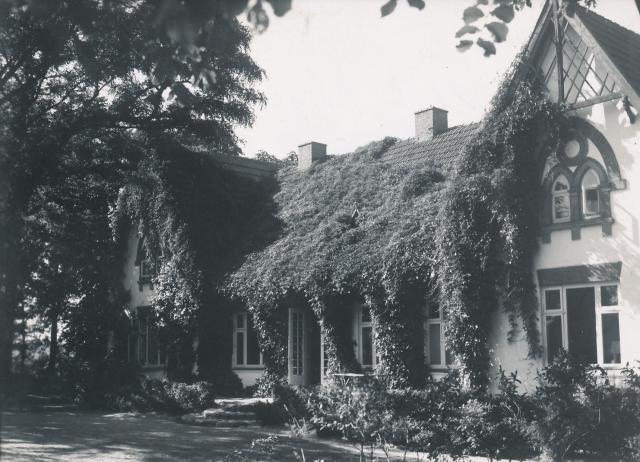 Stenris i Tengslemark (B7258)