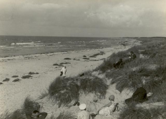 Badeliv ved Sejerøbugten - Vig Lyng - 1950 (B517)