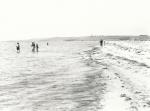Stranden ved Tengslemark Lyng (B7295)