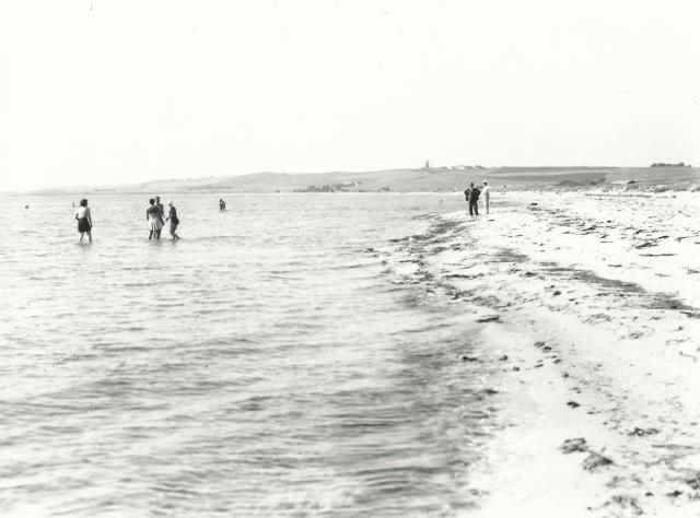 Stranden ved Tengslemark Lyng (B7295)