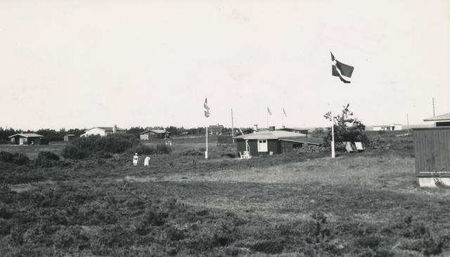 Vig Lyng - 1955 (B7300)