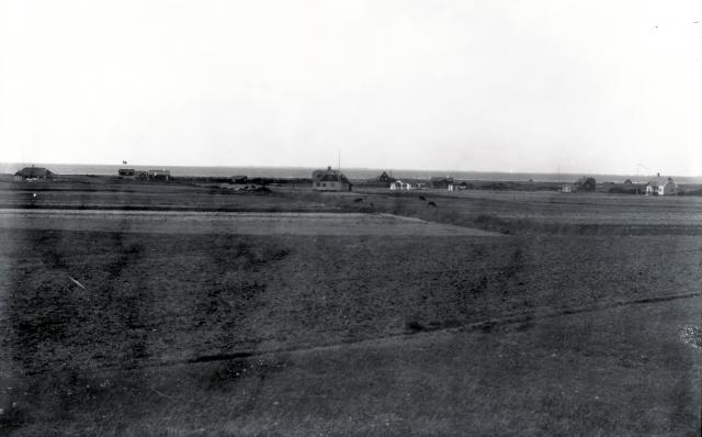 Vig Lyng - 1920 (B7305)