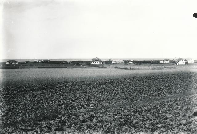 Vig Lyng - 1928 (B7306)
