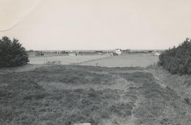 Sommerhuskvarter på Vig Lyng - 1955 (B7307)