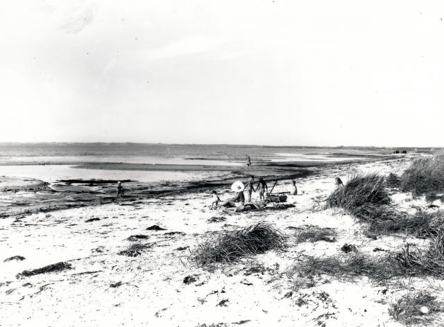 Stranden ved Vig Lyng (B7310)