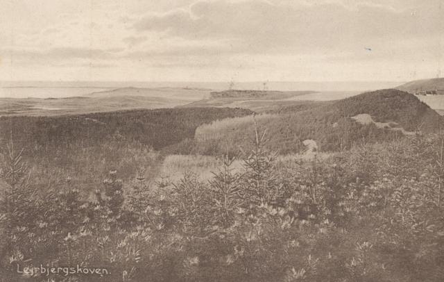 Lejrbjergskoven - ca. 1930 (B7367)