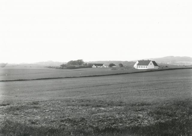 Bjergesø Mark. Landejendomme - ca. 1930 (B7379)