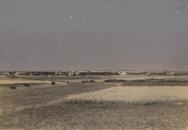 Jyderup Lyng - ca. 1940 (B7387)
