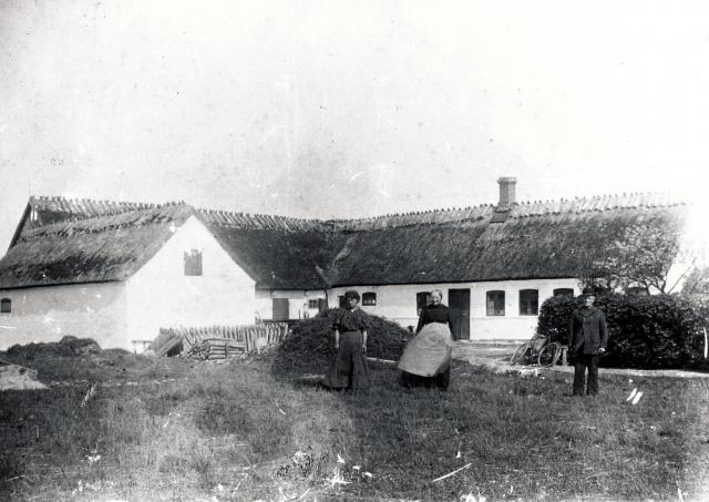 Toftevej 61 på Ellinge Lyng - ca. 1905 (B7467)