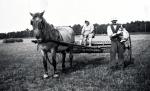 Høstarbejde på Lyngvej - 1940 (B8119)