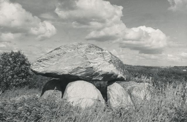 Gravhøj ved Højby - juli 1956 (B8233)