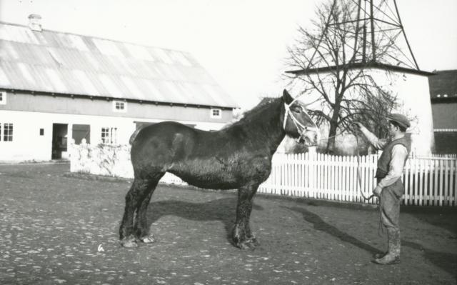 Stubberupholm - 1936 (B8262)