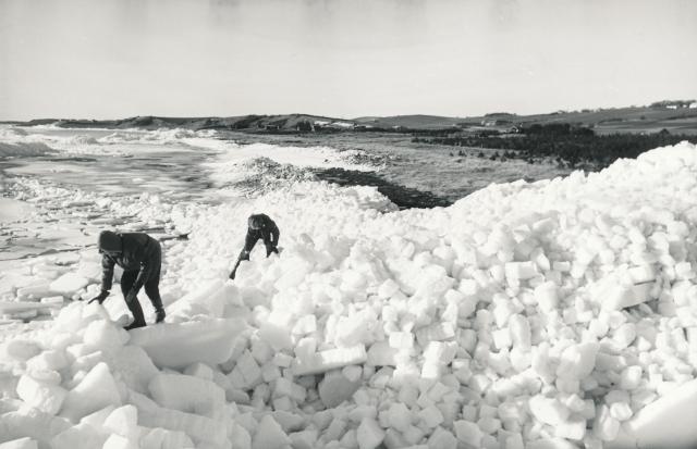 Sejerøbugt - 2. marts 1956 (B8400)