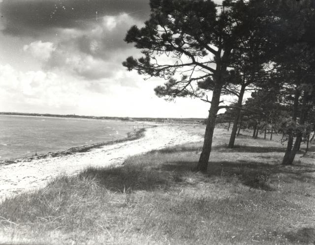 Parti fra Høve Strand, ca. 1940 (B1413)
