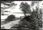 Parti fra Høve Skov og strand, ca. 1910 (B1434)