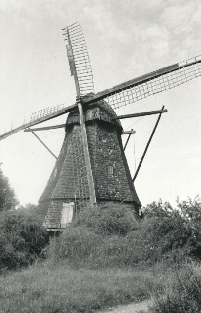 Svinninge Mølle - 1950 (B8696)