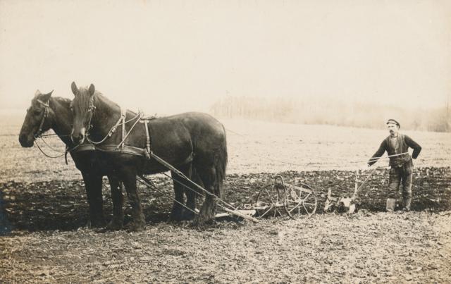 Pløjning med heste (B8744)