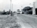 Hurtigbusser på Lyngvejen , Ellinge Lyng - ca. 1950 (B8761)