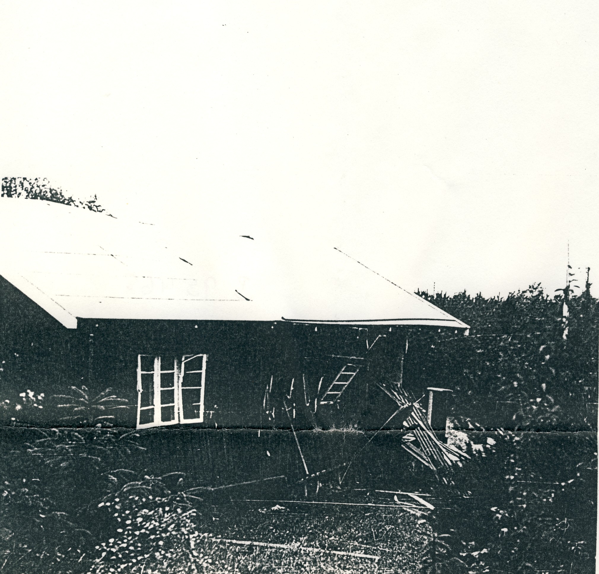 Bombninger i Rørvig Plantage -1944 (B95465)