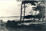 Høve Skov og Strand, ca. 1930 (B1484)