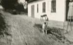 Ejendommen "Søen", Veddinge - ca. 1935 (B8960)