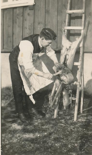 Jagt på Fjordglimt - 1926 (B8984)
