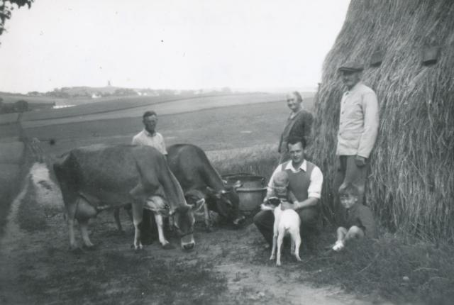 Fra ejendommen "Søen" i Veddinge - ca. 1950 (B8996)