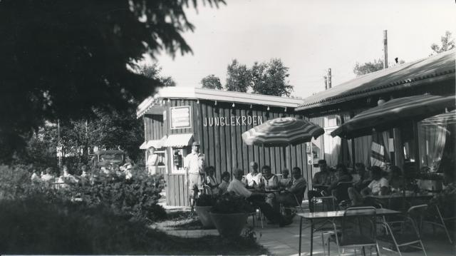 Junglekroen - ca. 1965 (B7582)