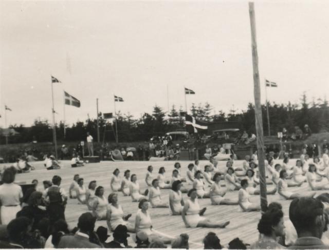 Høvestævne - 1943 (B9557)