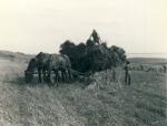 Kornhøsten bjerges - ca. 1935 (B10099)