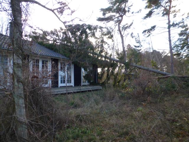 Klydelunden - december 2013 (B10549)