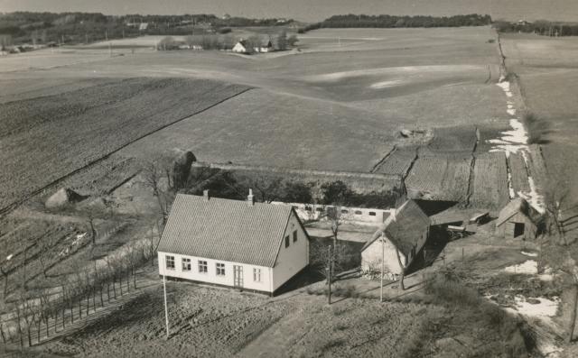 Kildevang. Veddinge Bakker - ca. 1950 (B10671)