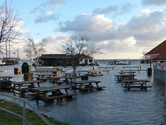 Rørvig Havn - december 2013 (B11198)