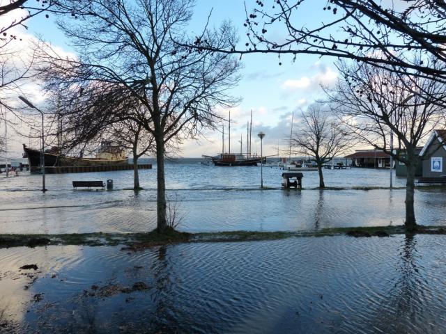 Rørvig Havn - december 2013 (B11207)