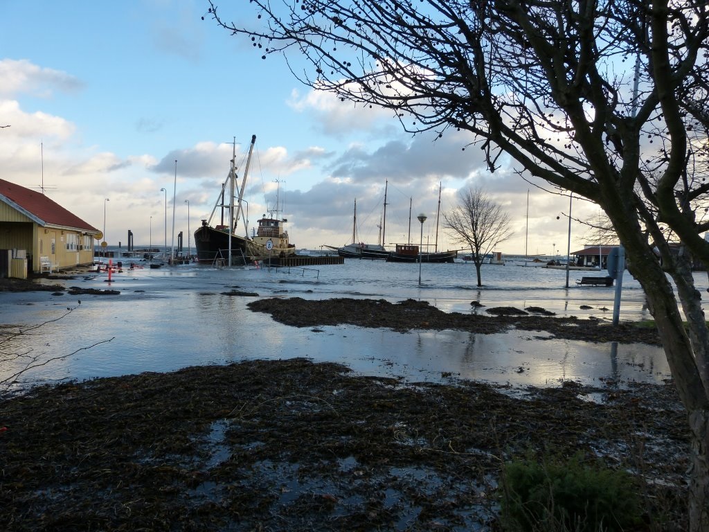 Rørvig Havn - december 2013 (B11233)