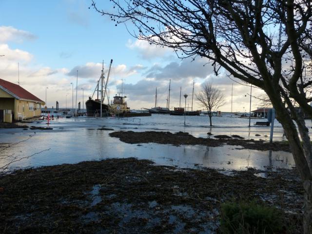 Rørvig Havn - december 2013 (B11233)