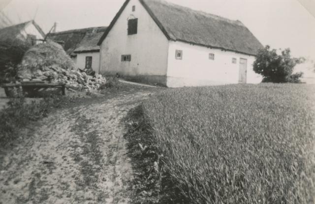 Åsvej 20 - sommeren 1941 (B13085)