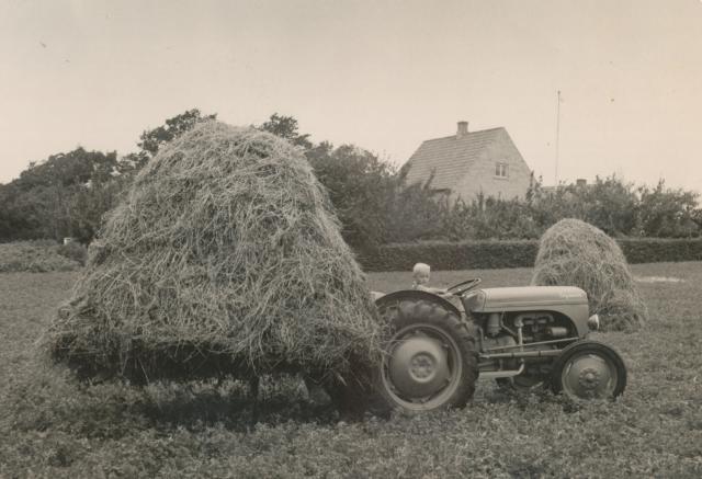 Traktorbetjent "høtyv".  - 1953 (B13088)