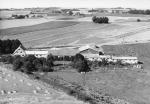 Gården Hjortsholm, Stålhøjvej -  ca 1960 (B14955)