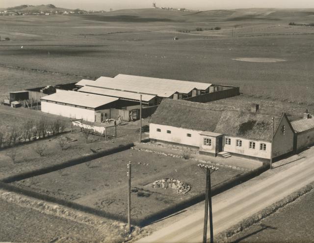 Minkfarm. Åsevangsvej 25 pr. Asnæs - ca. 1950 (B15126)